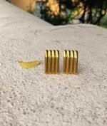 Allure Earrings (Golden tone)